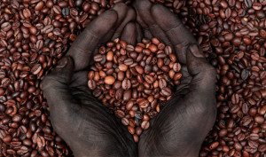 coffee-beans-1